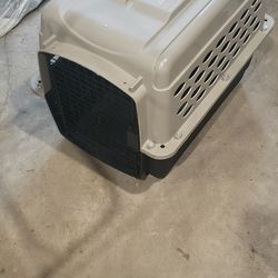 Medium Dog Create 