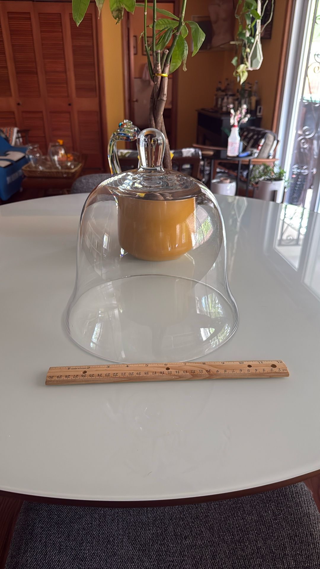 Glass Bell Jar