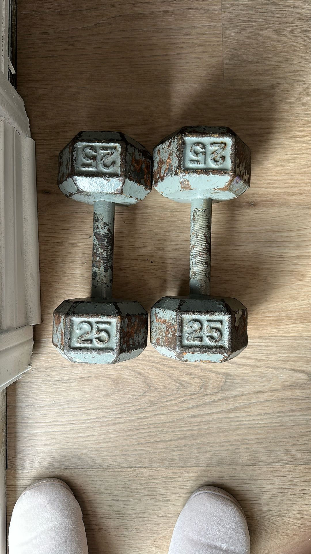 25lbs Dumbbells