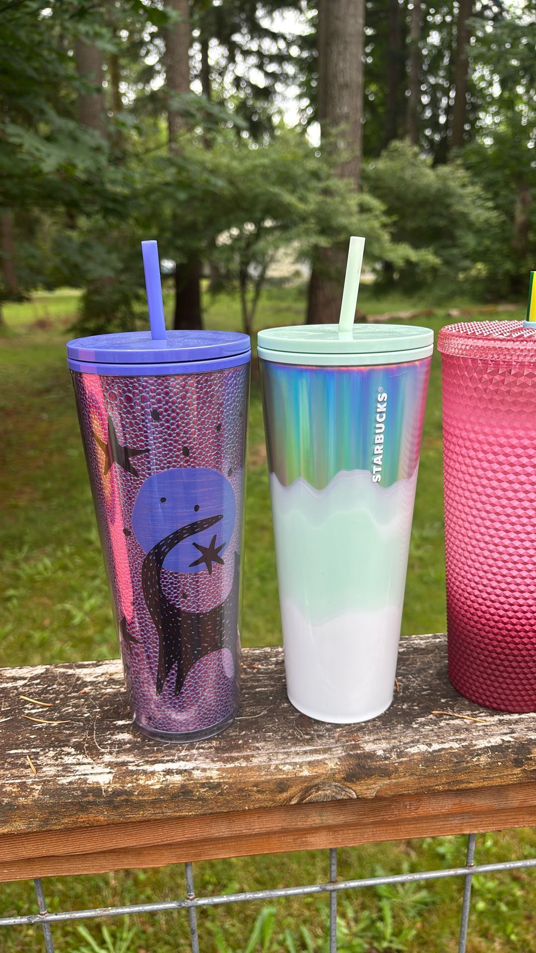 Starbucks Cups