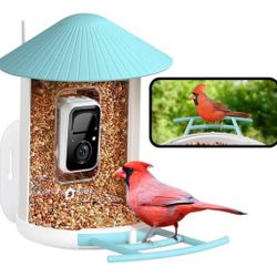 Bird Feeder