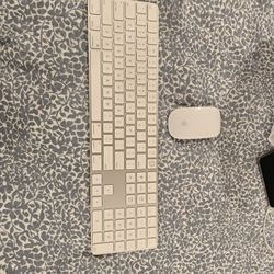 Magic Keyboard with Touch ID + Magic Mouse