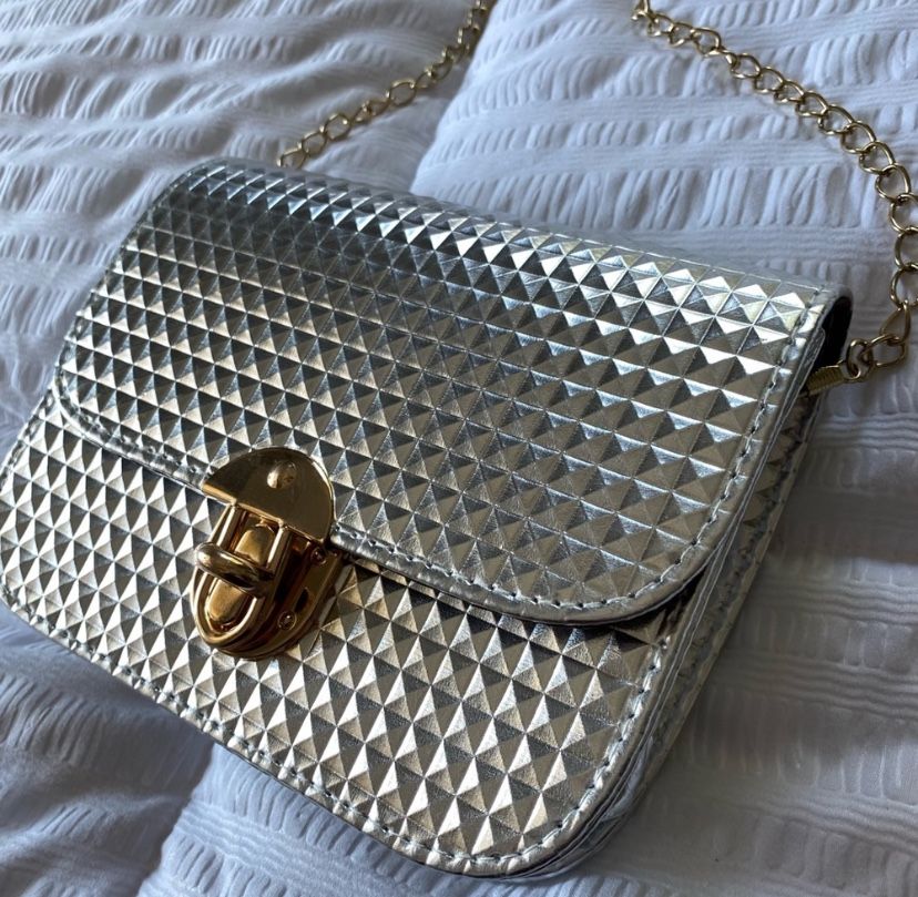 NWT Silver Bag with Chain