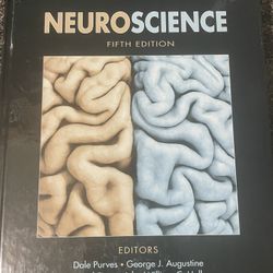 Neuroscience Textbook