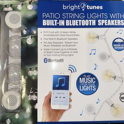 Indoor Outdoor Lights With Built In Speakers  15ft Cord
