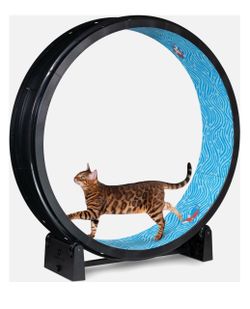 One Fast Cat Gen 7 Cat Exercise Wheel, Black with Koi Pond Foam Pads