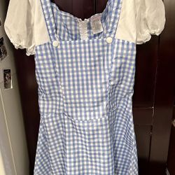 Womens  Wizard Of Oz Dorothy Blue And White Gingham Dress Size Large