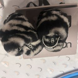 Zebra Uggs 