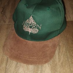 Vintage Aspen hat genuine cotton and suede