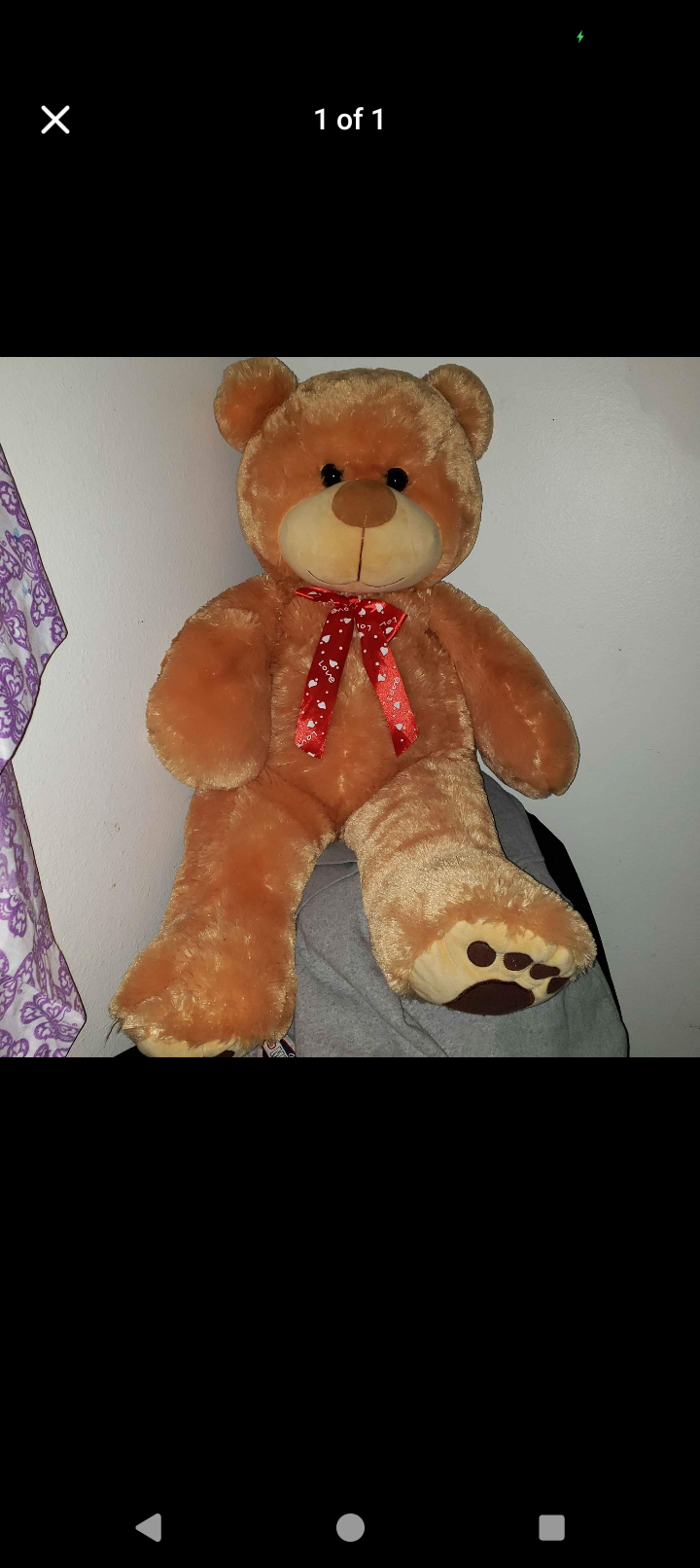 Valentine's Day giant teddy bear