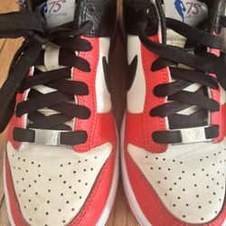 Nike Dunks 