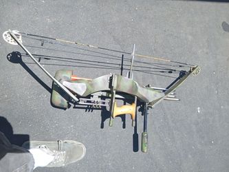 Compound bow  and arrows