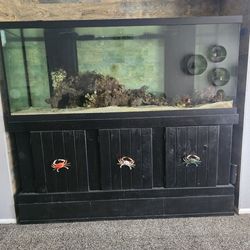 Aquarium