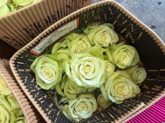 Rose arrangements