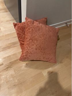 2  orange decorative pillows