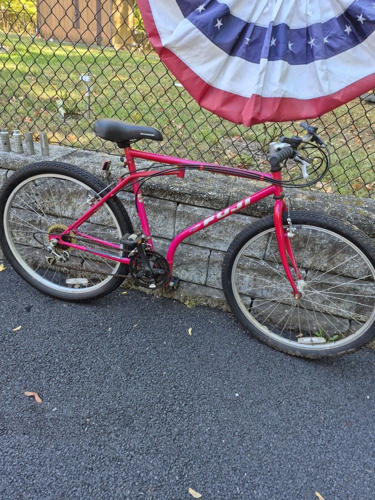 Bike Folding Mountain