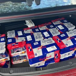 RED BULL CASES 
