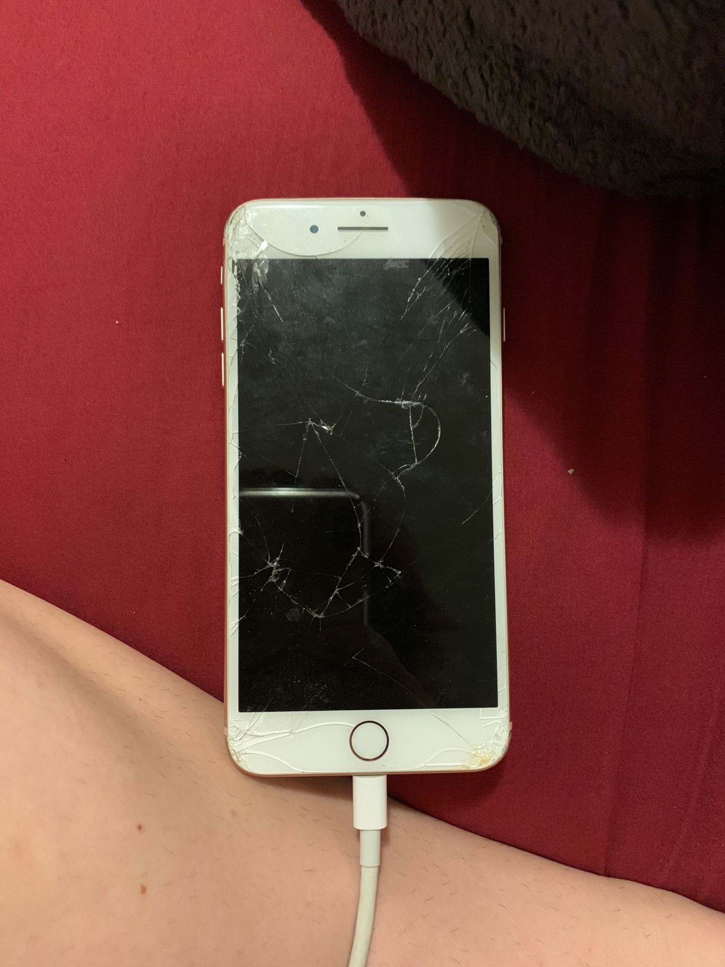 iPhone 8 Plus broken screen and broken back but will be $50 to $100 no SIM card can chose any carrier