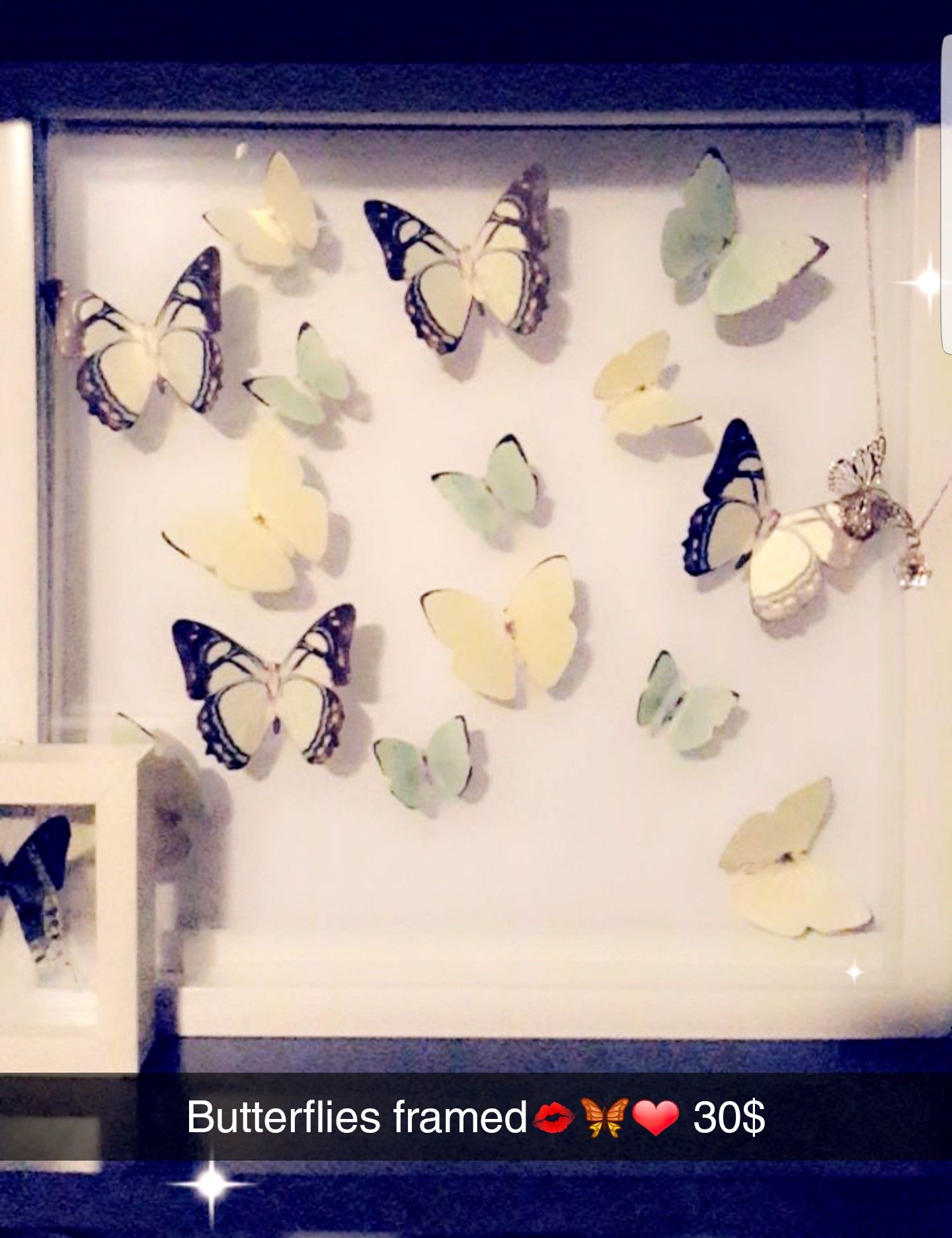 Butterfly framed decor (Mariposa)