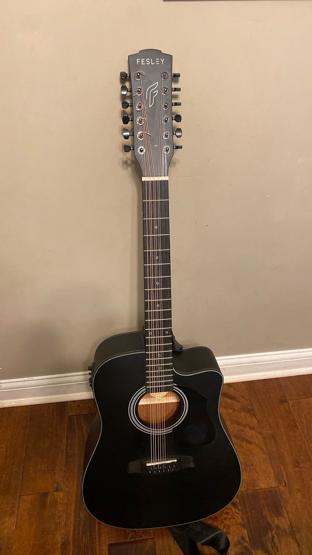 Fesley 12 String Guitar