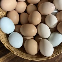Free Range Eggs