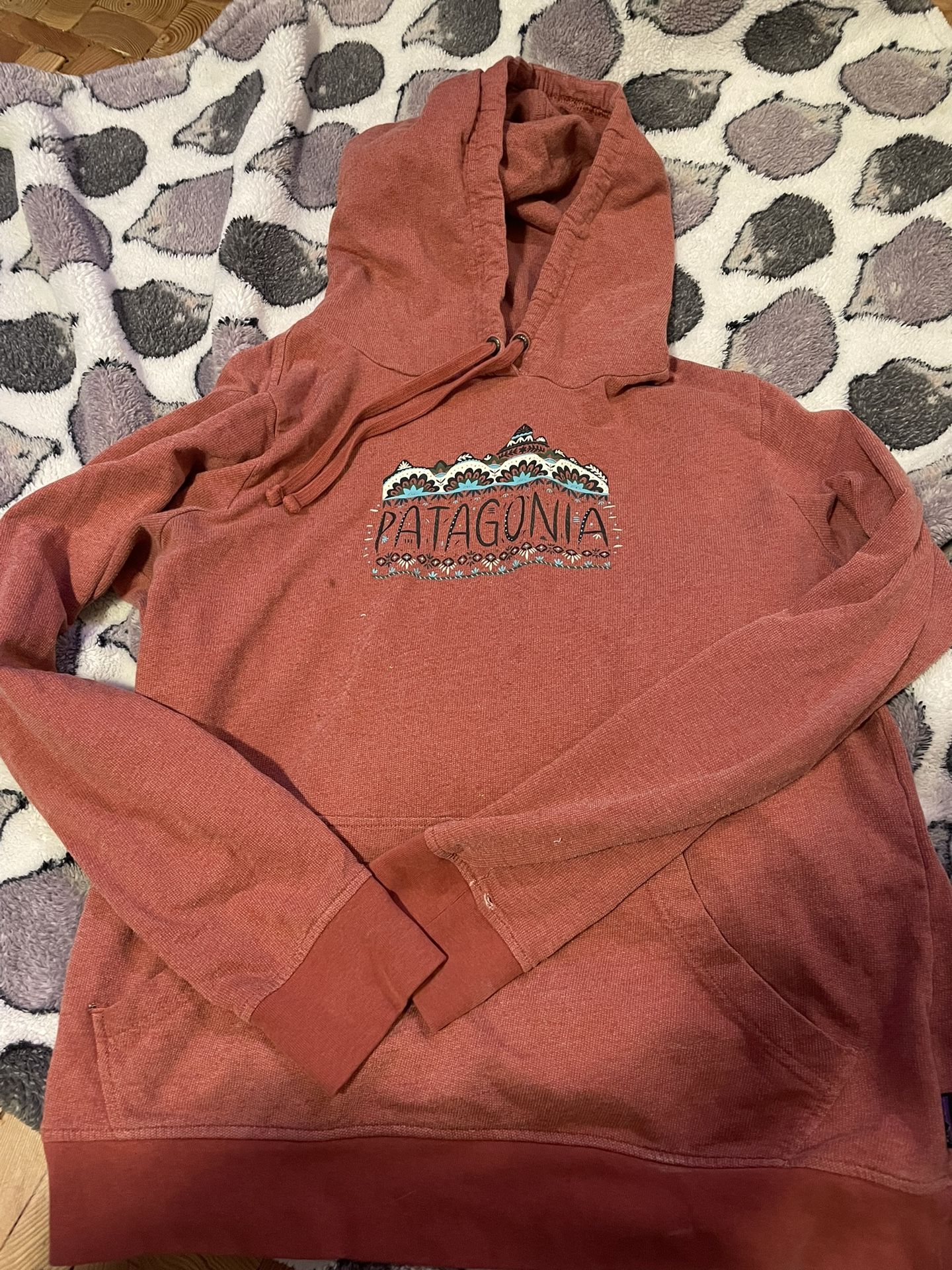 Patagonia Sweatshirt