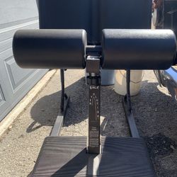 Back Revolution Exercise 