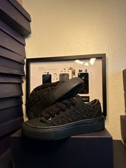 Dior b33
