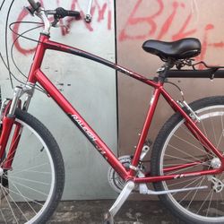 Raleigh Hybrid Bike XL 