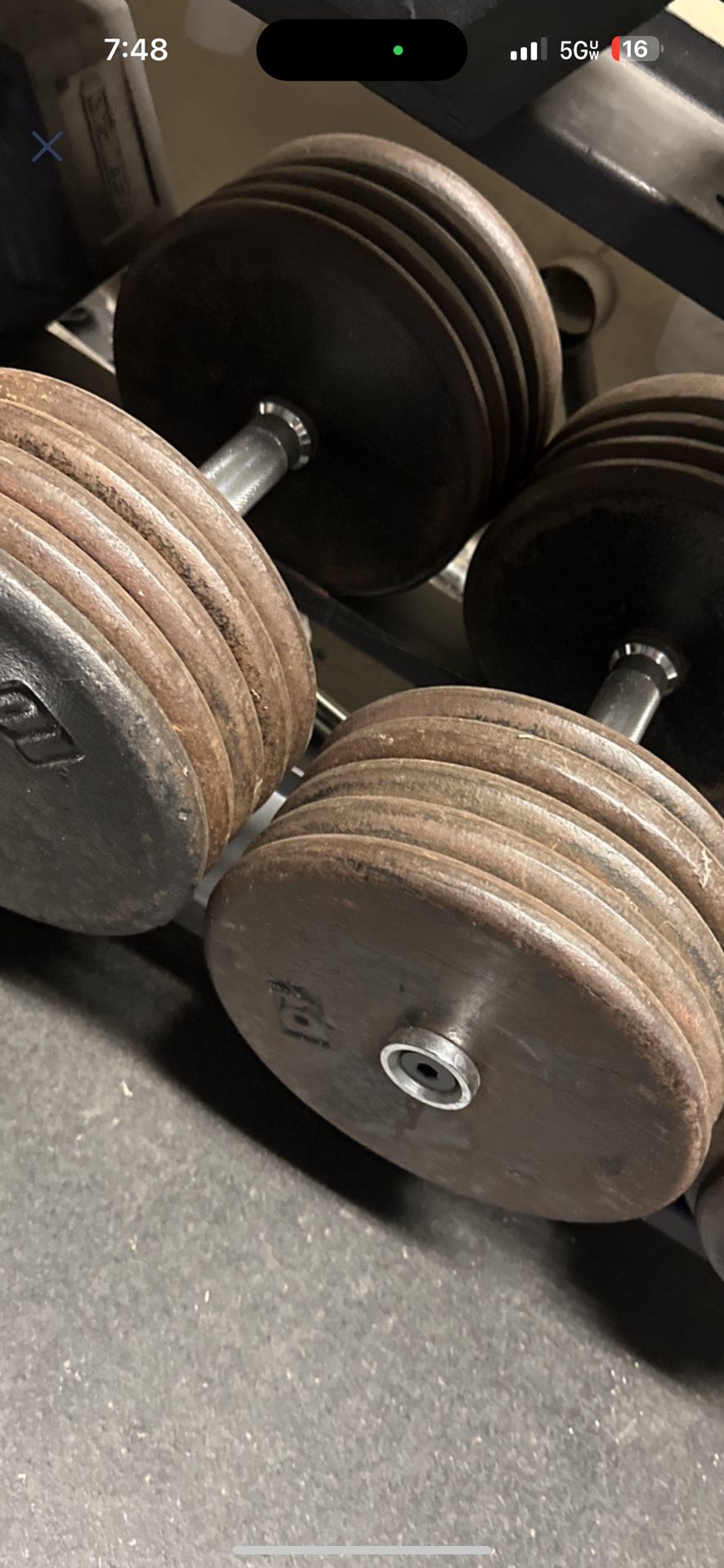 100lbs Dumbbells