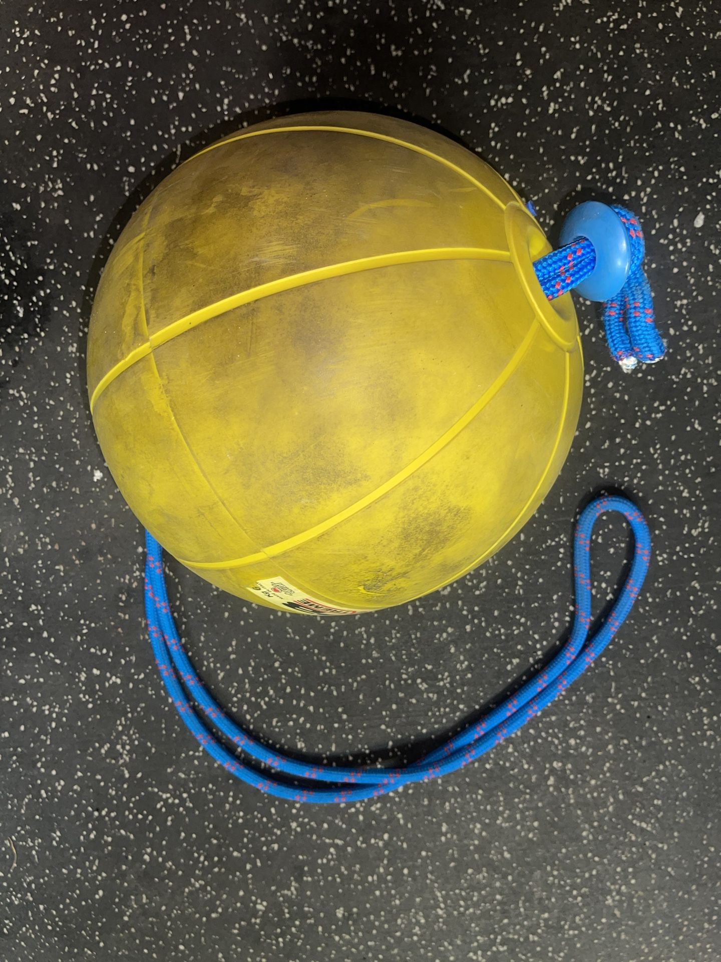 Workout Gym Exercise Slam Ball