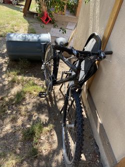 Bicycle adult size