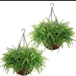 Hanging Ferns set of 2 brand new in box