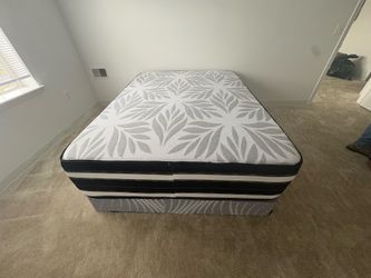 Camas /bed