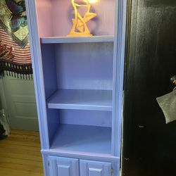 Lighted Cabinet 