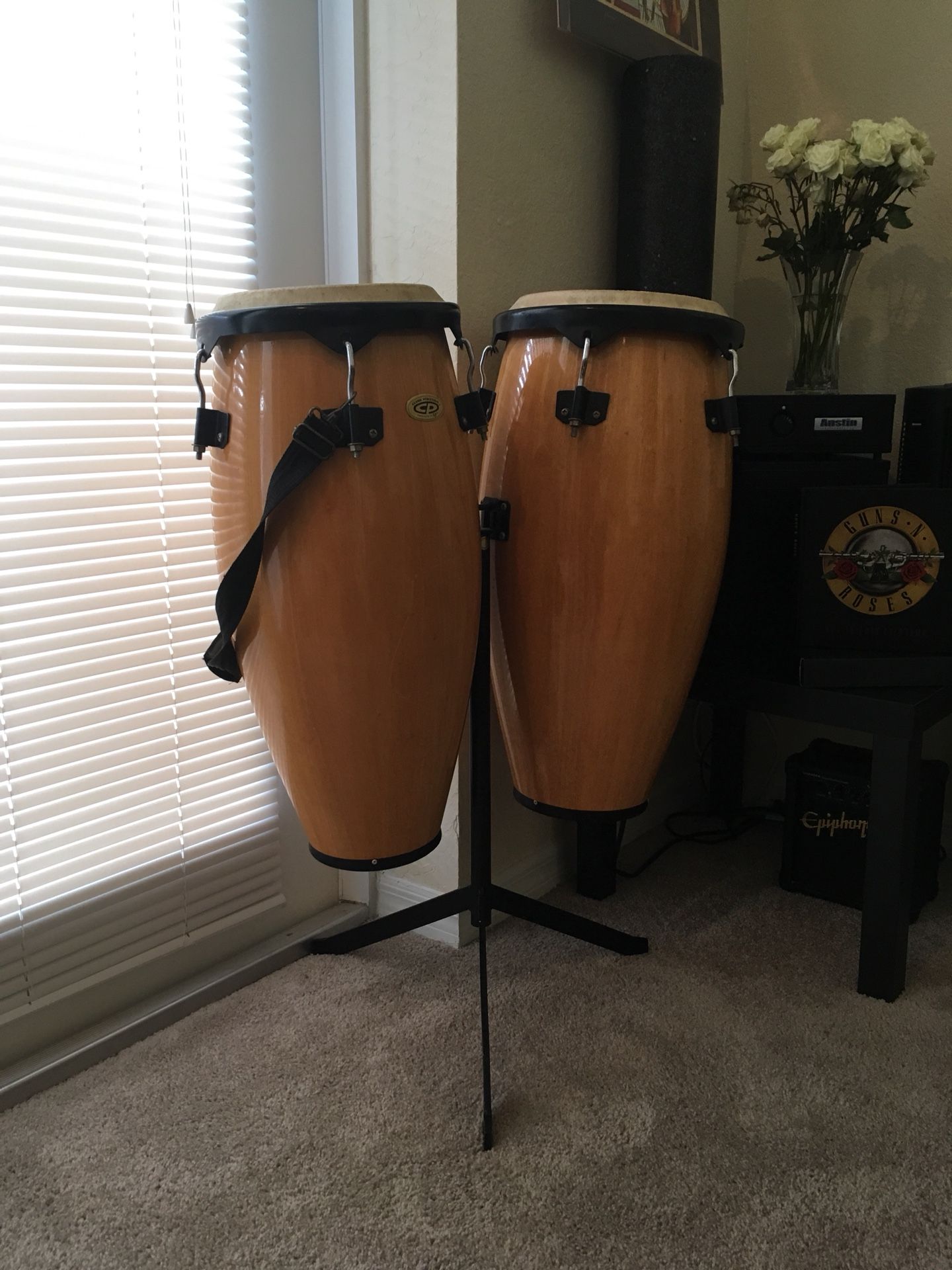 Cp congas W/Stand