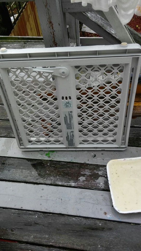 Safety gate