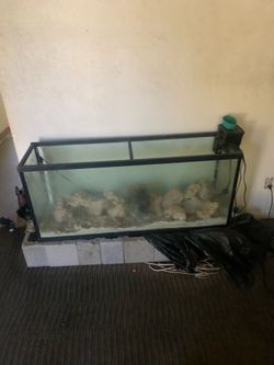 55 Gallon saltwater tank
