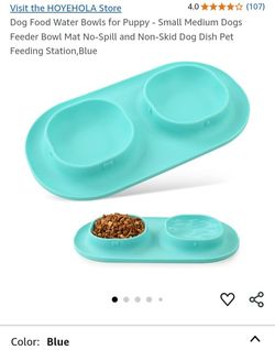 Puppy Or Cat Feeding Station 