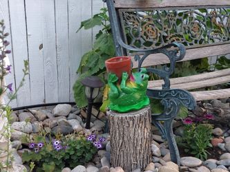 Small frog with pot