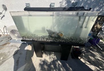 Acrylic Fish tank 50 Gallons