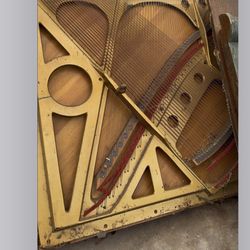 Piano Bush And Lane 1904 Parts Excellent Shape