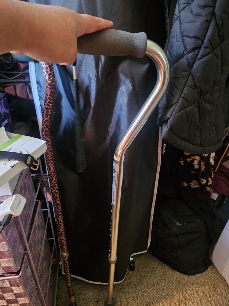 Walking Cane Gray