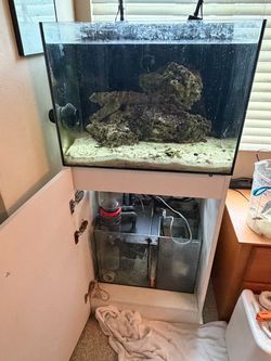Waterbox Saltwater Reef Aquarium with Sump