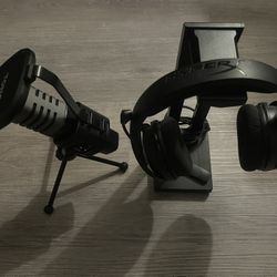 Headset and Microphone Set