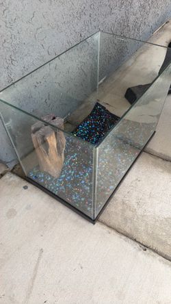Fish tank