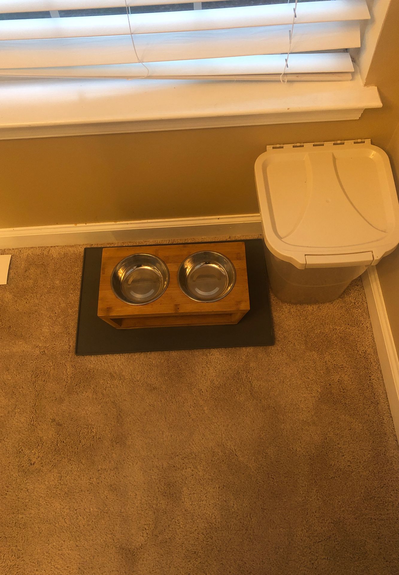 Cat/dog bowl, splash mat, and food container