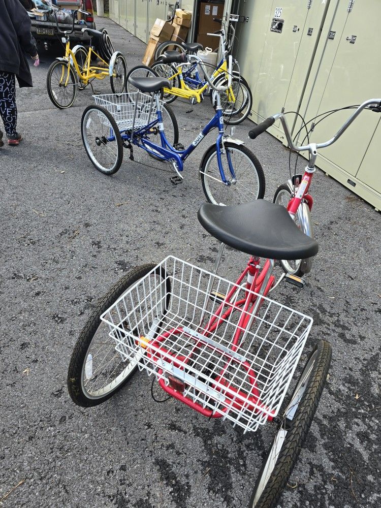 Sun 7 Speed Adult Trikes