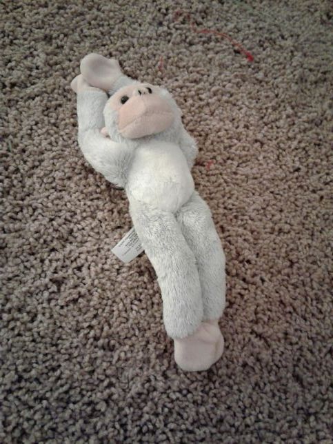 Magnetic monkey