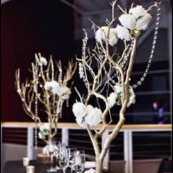 Manzanita Tree Centerpieces 